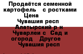 Продаётся семенной картофель , с ростками   › Цена ­ 150-200 - Чувашия респ., Алатырский р-н, Чуварлеи с. Сад и огород » Другое   . Чувашия респ.